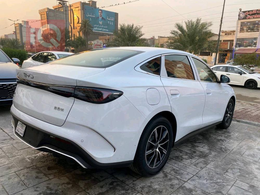 بي واي دي سيل 06 DM-i